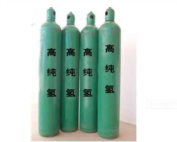 熱式質(zhì)量流量計(jì)在高純氣體流量測量中的應(yīng)用